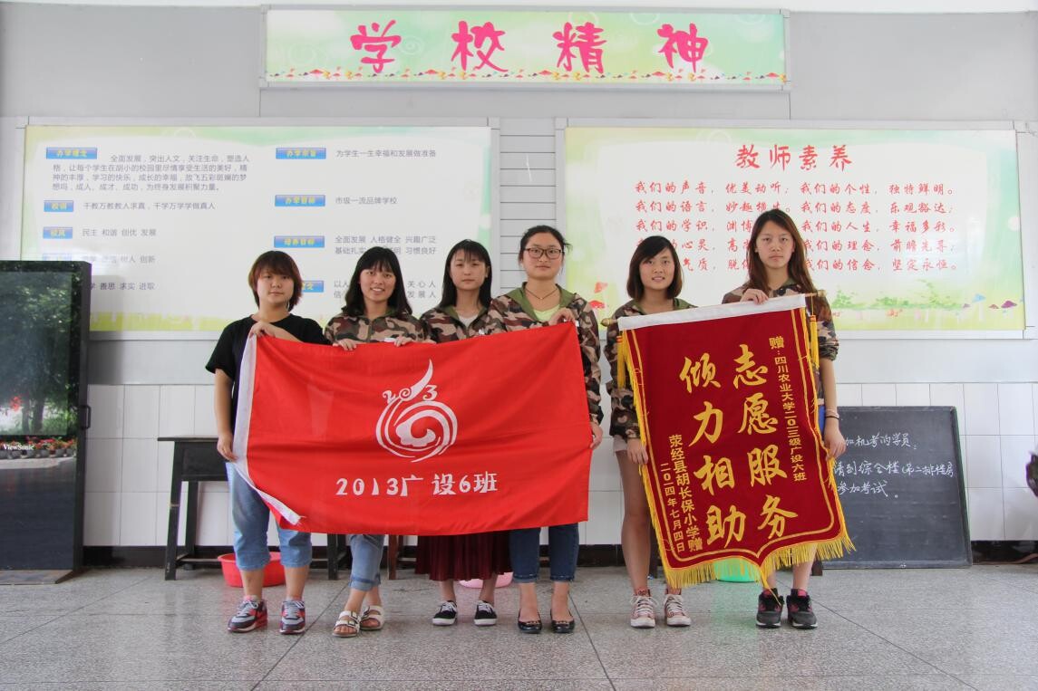 Bevictor伟德欧洲杯图片
