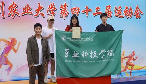 Bevictor伟德欧洲杯