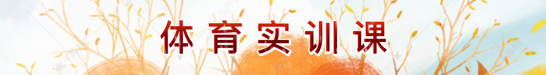 Bevictor伟德欧洲杯图片